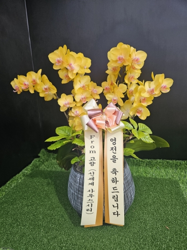 첨부사진