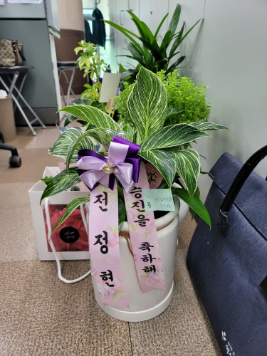 첨부사진