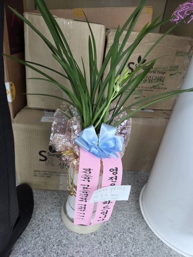 첨부사진