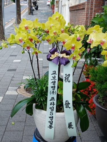 첨부사진