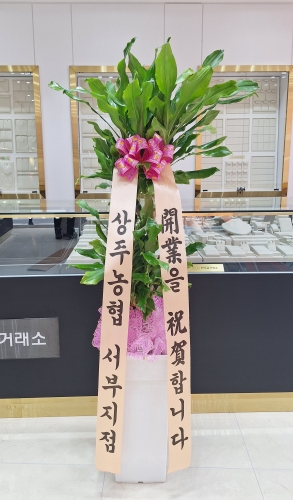 첨부사진