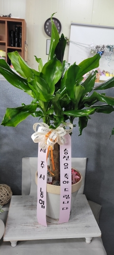 첨부사진