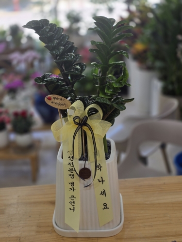 첨부사진