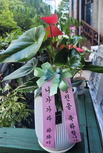 첨부사진
