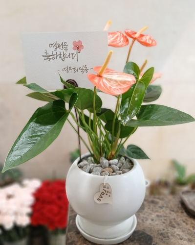 첨부사진