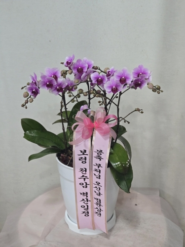 첨부사진