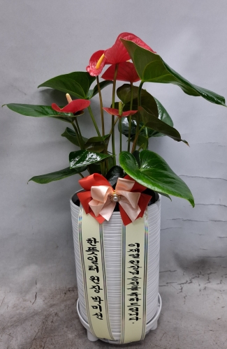 첨부사진